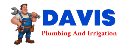 Trusted plumber in ASTATULA